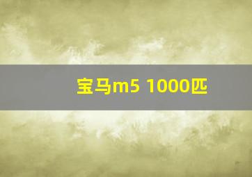 宝马m5 1000匹